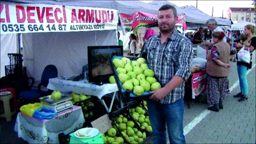 Altınyazı Köyü’nde yetiştirilen ve