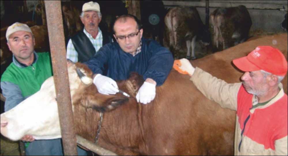 Veteriner hekimlerin aşılama ücretlerinin,