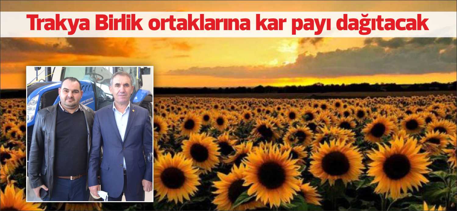 Trakya Birlik, yılsonunda kar