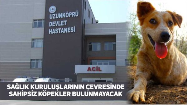 Sağlık kuruluşları ve yerleşkelerine giren başıboş hayvanlar, yerleşke dışına çıkarılacak.