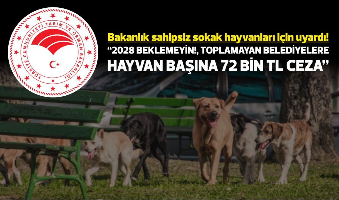 Tarım ve Orman Bakanlığı, sahipsiz sokak hayvanlarıyla ilgili olarak 81