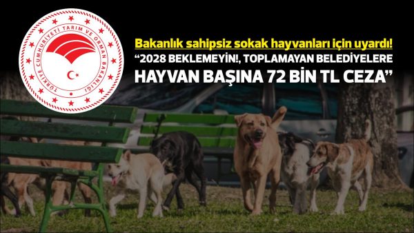 Tarım ve Orman Bakanlığı, sahipsiz sokak hayvanlarıyla ilgili olarak 81